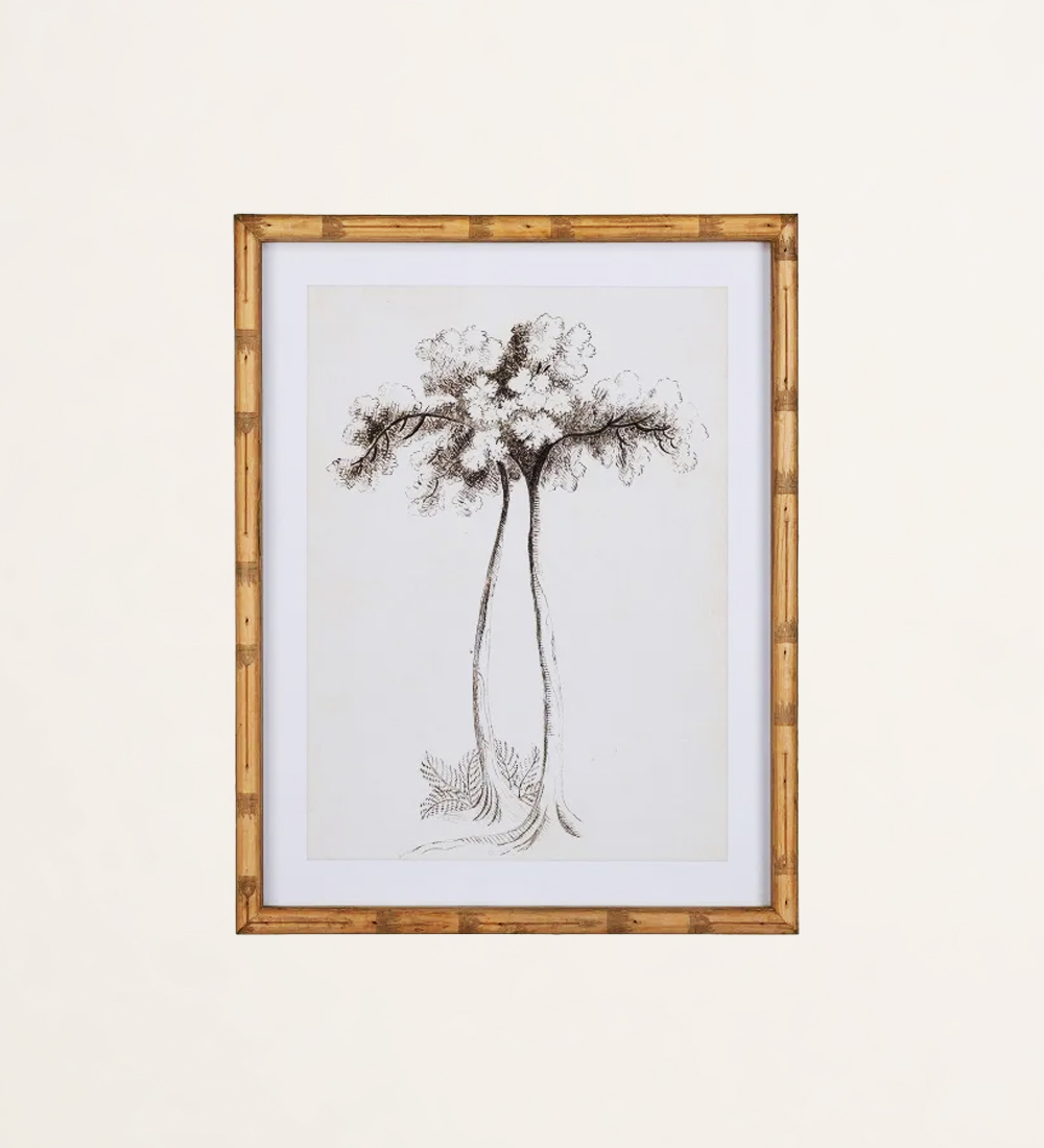 Tree inspiration frame