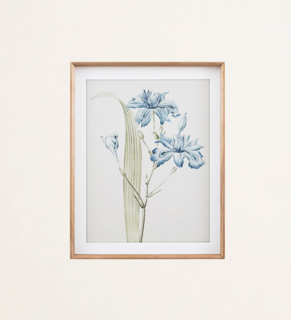 Flowers inspiration frame