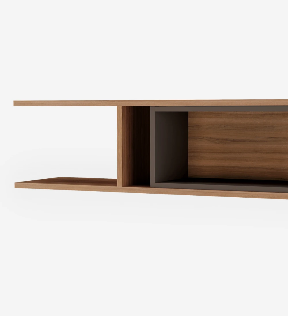 Walnut shelf with dark brown lacquered module.