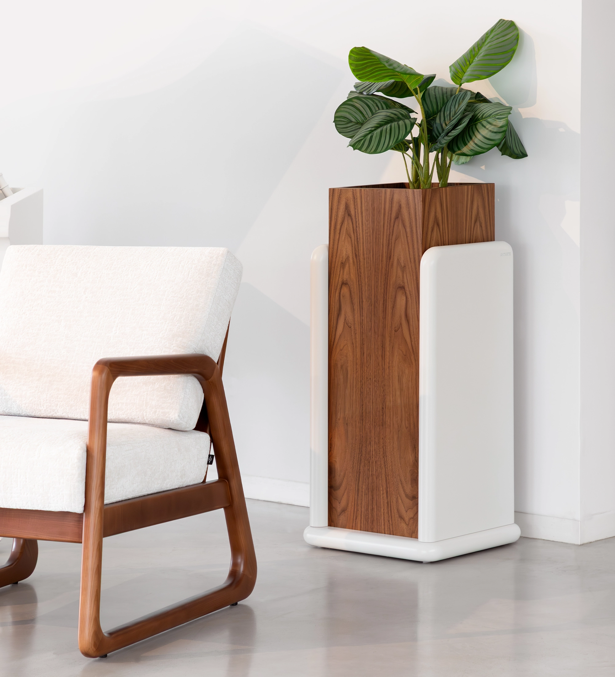 Support pour vases en noyer naturel
