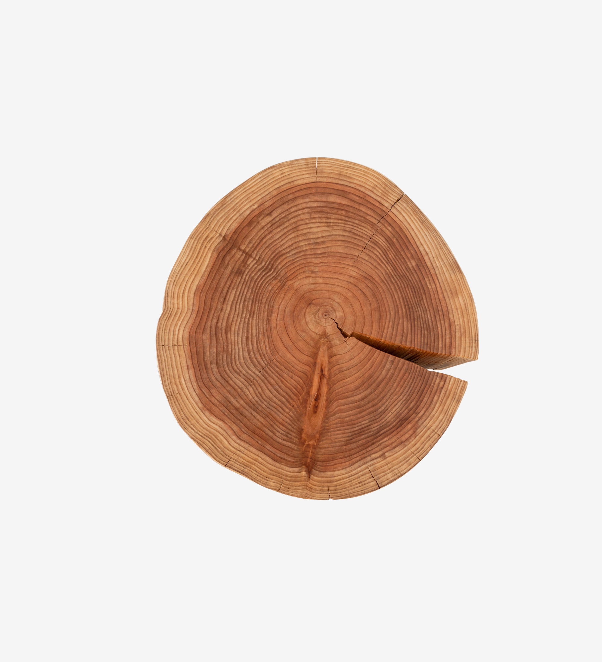 Tranche de tronc circulaire en bois avec anneau de croissance et fissure