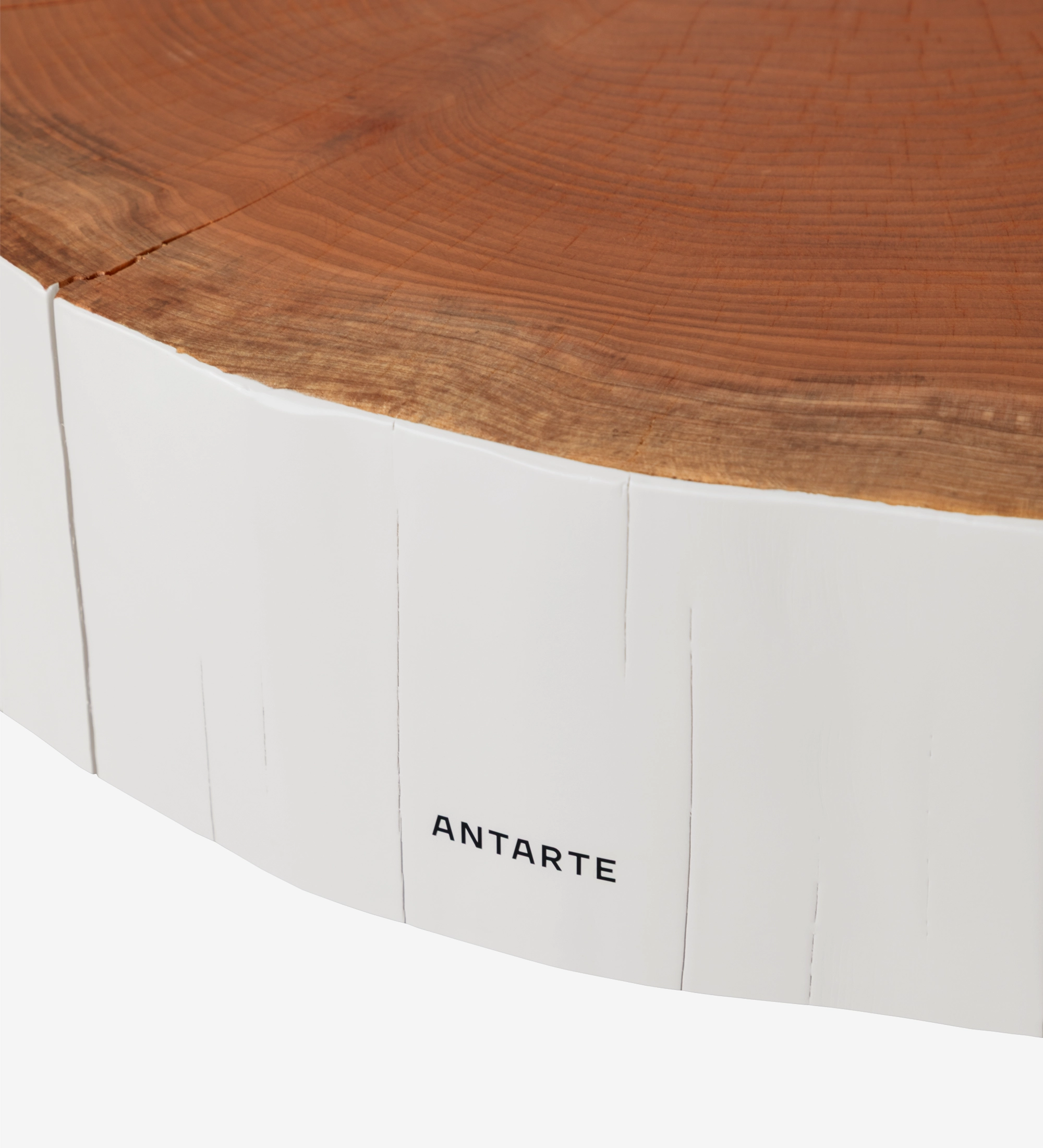 Table Basse Tronc en tronc d'arbre, plateau bois naturel et flanc peint blanc avec logo Antarte