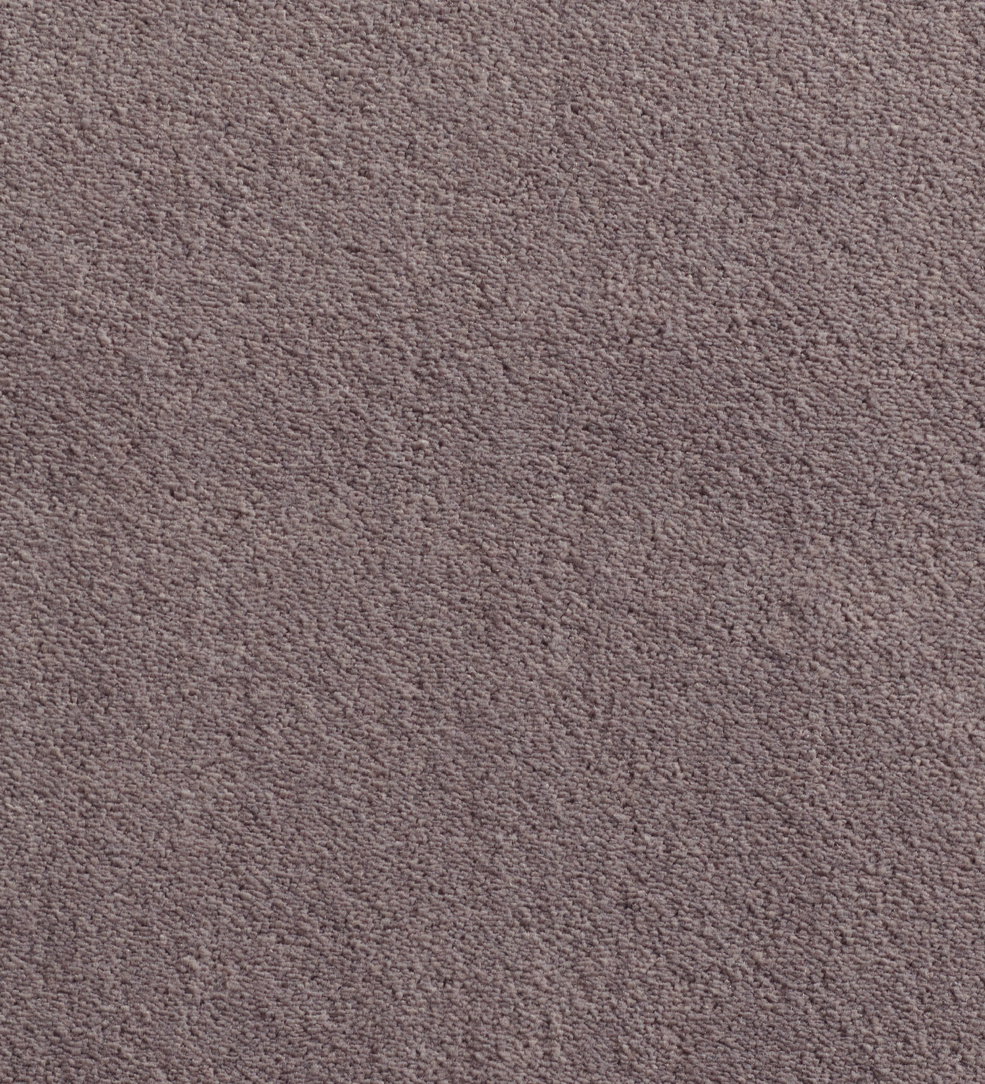 Tapete IMPRESSION 83 em tom malva com textura felpuda uniforme