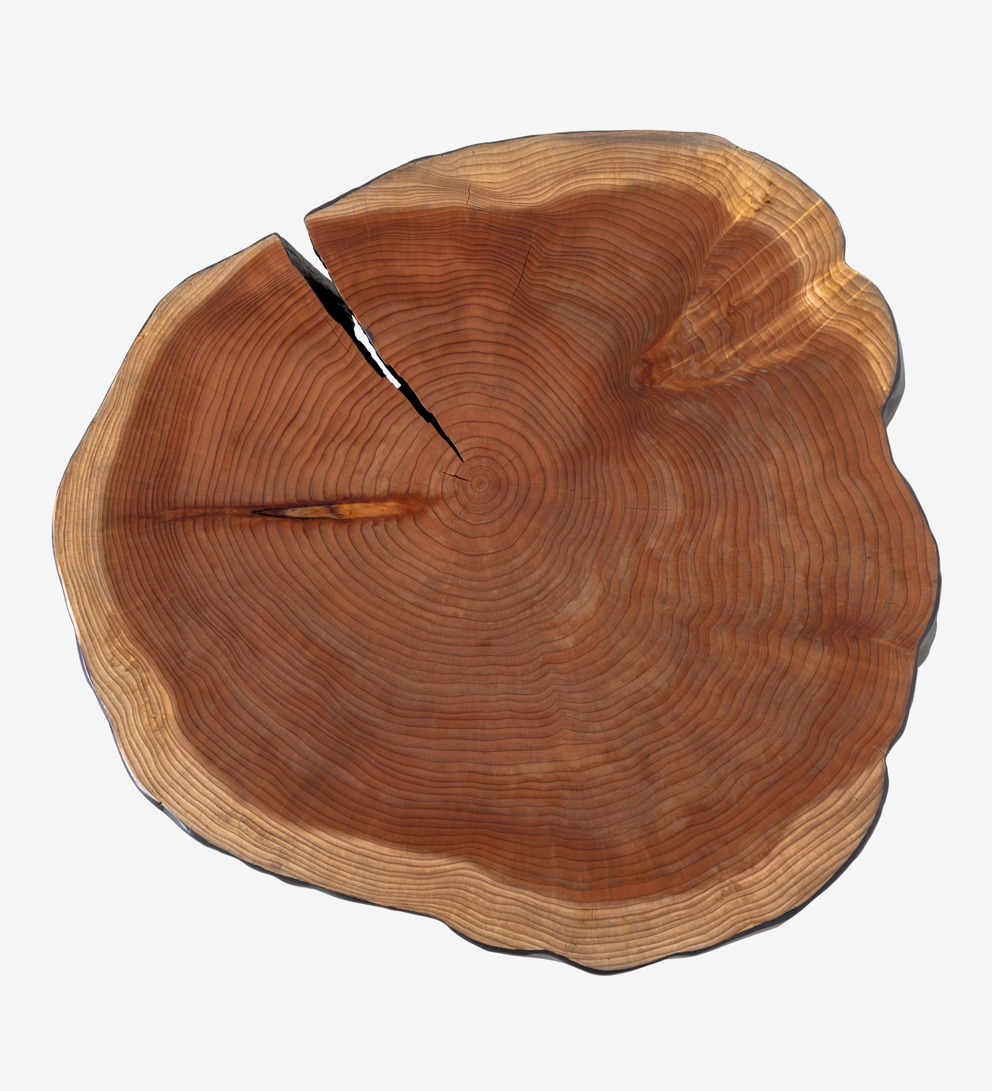 Mesa de Centro Tronco com tampo de tronco, anéis de crescimento e racha