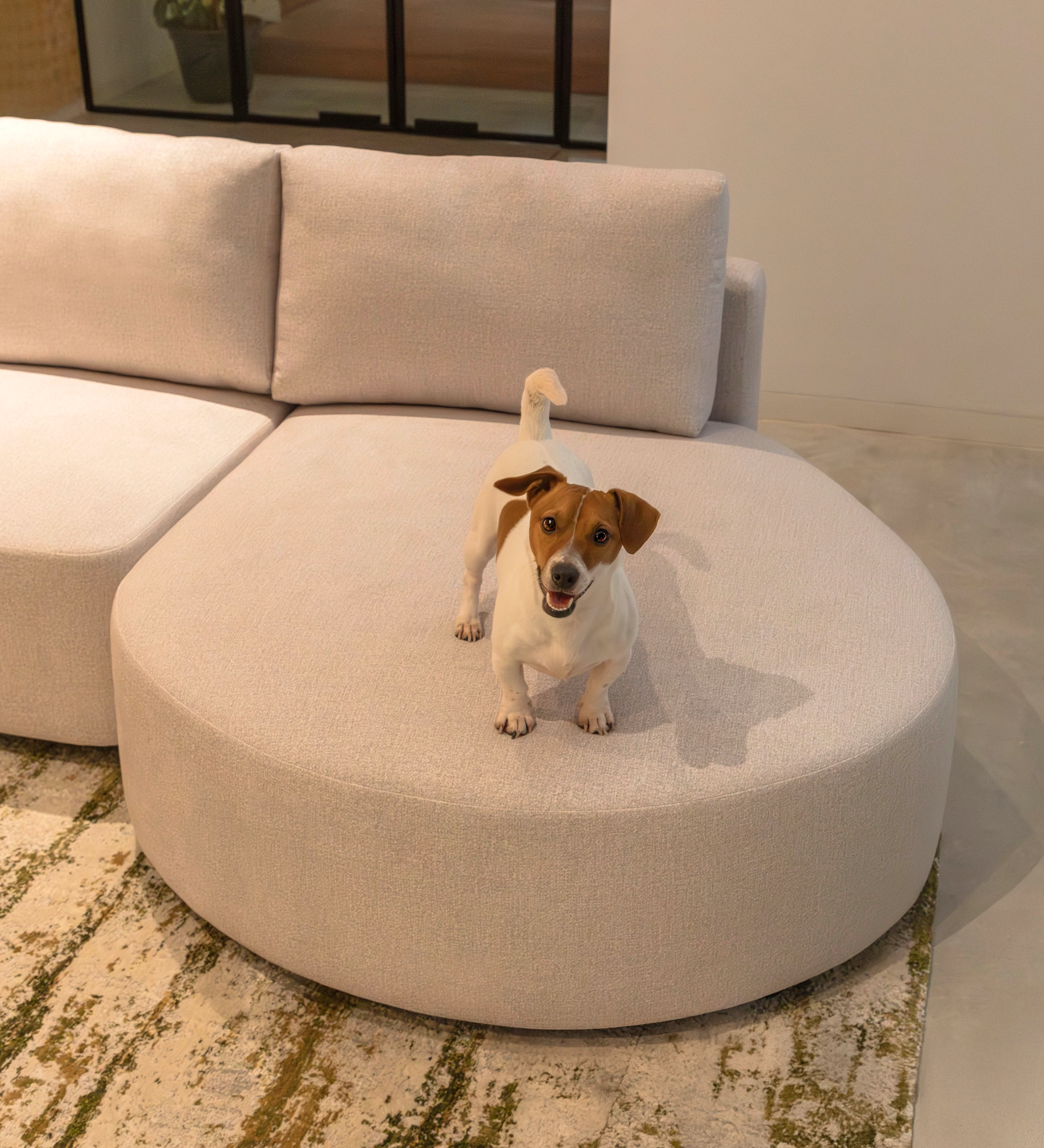 Paris Sofa with Chaise Longue beige chaise with small brown-and-white dog