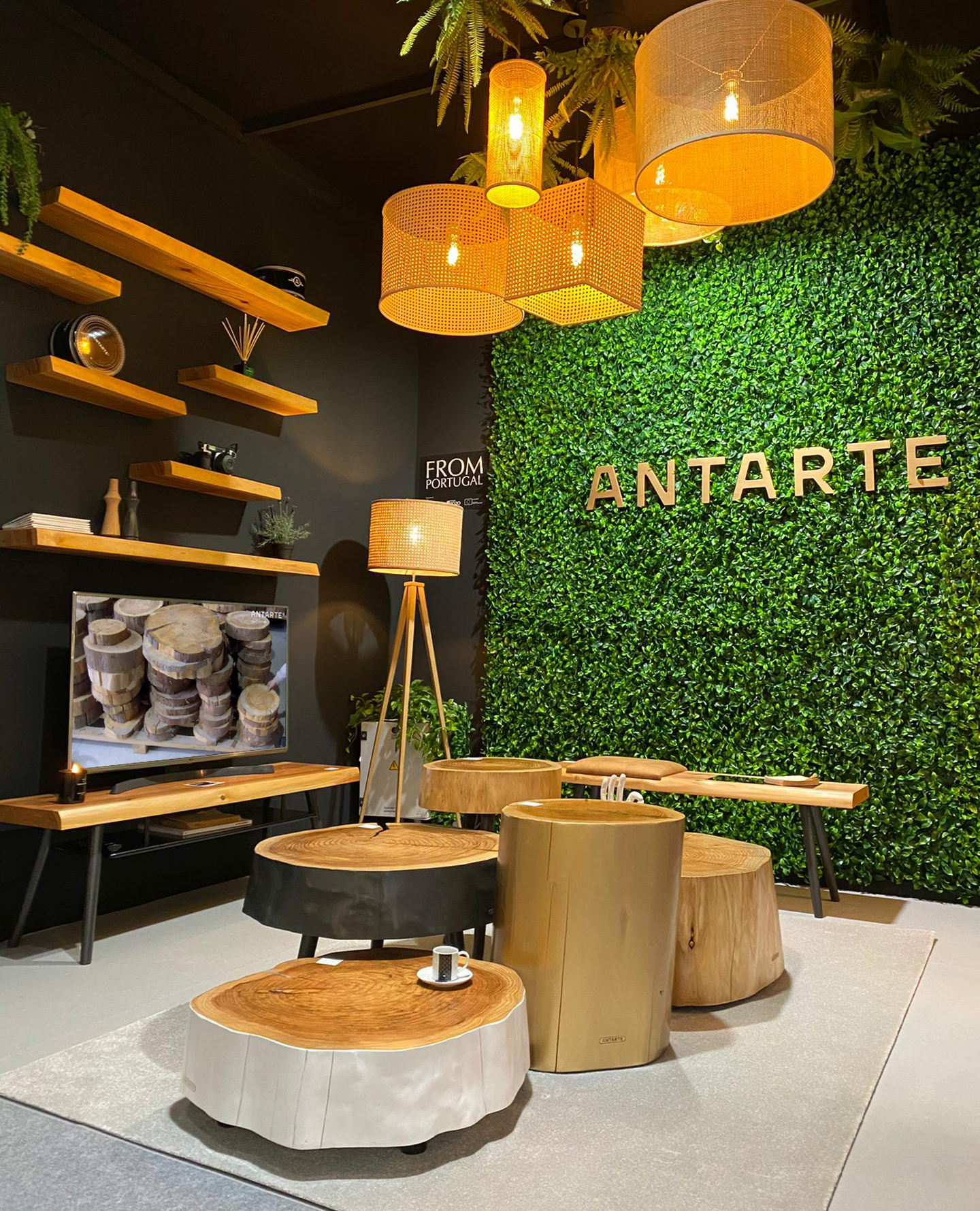 Antarte Azores Collection