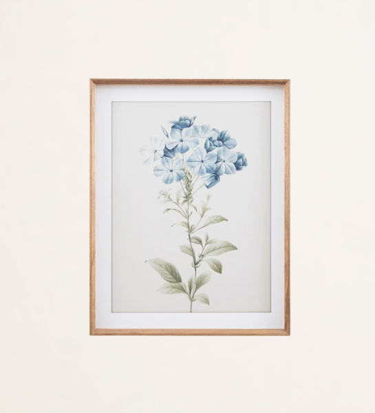 Flowers inspiration frame