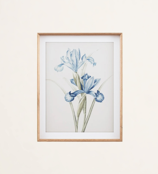 600157/4  quadro flores flowers frame cadre de fleurs antarte home decoração decoration  décoration  antarte home antarte home antarte home antarte home antarte home antarte home sala de estar living room salons 