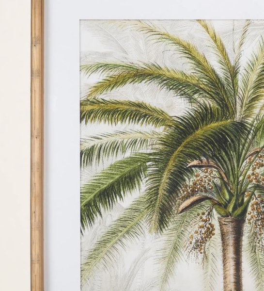 Quadro inspiração palmeira