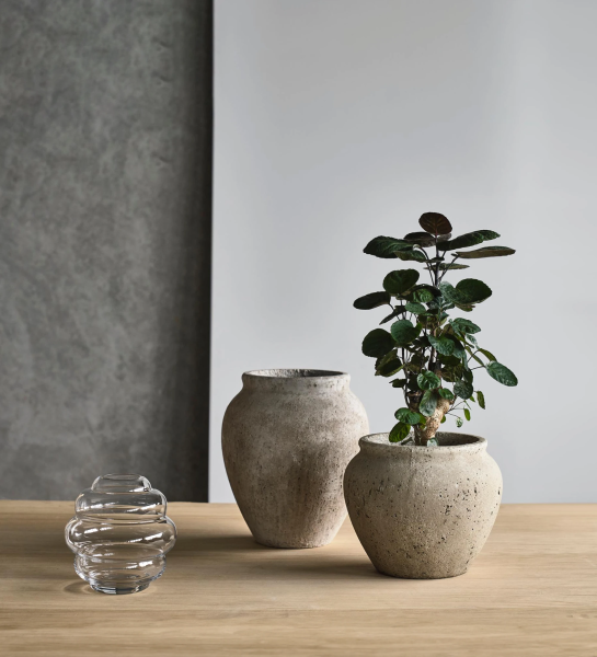Vase en verre transparent, superbe forme sculpturale qui se fond facilement dans votre décor.