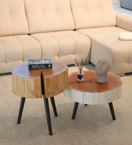 Table Basse Tronc double en bois naturel sur pieds noirs avec livre et sculpture