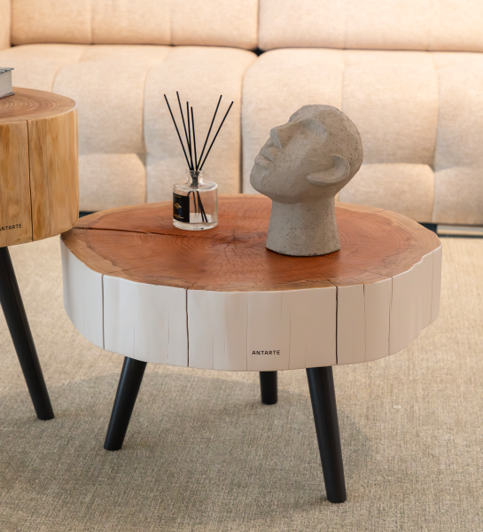 Table Basse Tronc en rondin de bois avec sculpture de tête et diffuseur, pieds noirs