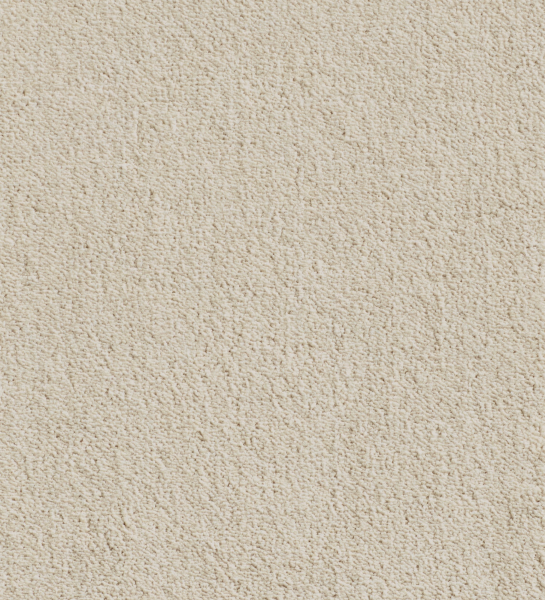 Tapete IMPRESSION 38 bege claro com textura felpuda e padrão uniforme