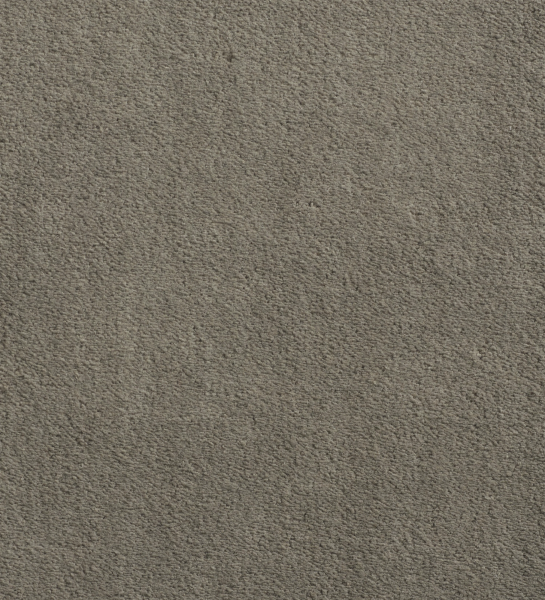 Tapete IMPRESSION 96 cinzento bege com textura aveludada