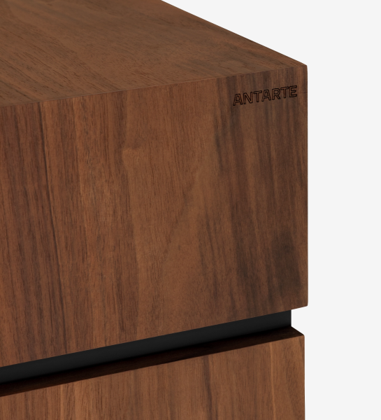 Nice Sideboard walnut corner with ANTARTE engraved logo