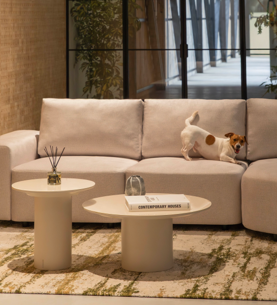 Pair of Paris Center Tables before beige sofa with small white dog with brown patches